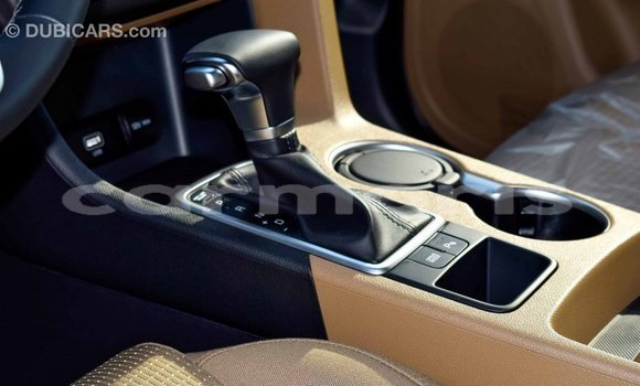 Buy Import Kia Sportage Other Car in Import - Dubai in Agalega Islands Buy Import Kia Sportage Other Car in Import - Dubai in Agalega Islands