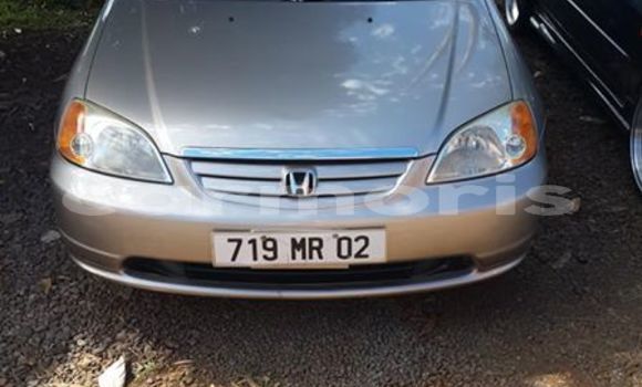 Buy Used Honda Accord Brown Car in Rivière du Rempart in Rivière du Rempart District
