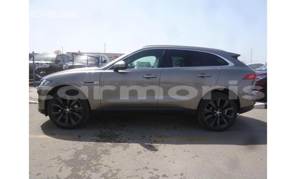 Buy Import Jaguar F-Pace Other Car in Import - Dubai in Agalega Islands Buy Import Jaguar F-Pace Other Car in Import - Dubai in Agalega Islands