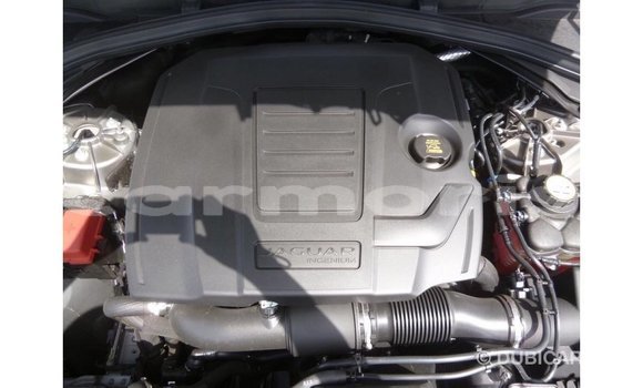 Buy Import Jaguar F-Pace Other Car in Import - Dubai in Agalega Islands Buy Import Jaguar F-Pace Other Car in Import - Dubai in Agalega Islands