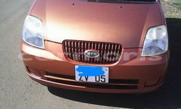 Buy Used Kia Picanto Brown Car in Port Louis in Port Louis District Buy Used Kia Picanto Brown Car in Port Louis in Port Louis District