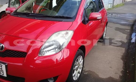 Buy Used Toyota Vitz Red Car in Port Louis in Port Louis District Buy Used Toyota Vitz Red Car in Port Louis in Port Louis District