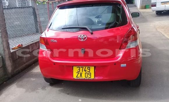 Buy Used Toyota Vitz Red Car in Port Louis in Port Louis District Buy Used Toyota Vitz Red Car in Port Louis in Port Louis District