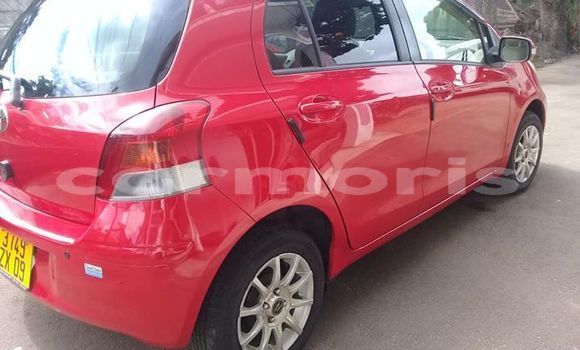Buy Used Toyota Vitz Red Car in Port Louis in Port Louis District Buy Used Toyota Vitz Red Car in Port Louis in Port Louis District