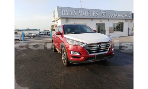 Buy Import Hyundai Tucson Red Car in Import - Dubai in Agalega Islands Buy Import Hyundai Tucson Red Car in Import - Dubai in Agalega Islands