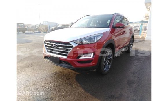 Buy Import Hyundai Tucson Red Car in Import - Dubai in Agalega Islands Buy Import Hyundai Tucson Red Car in Import - Dubai in Agalega Islands