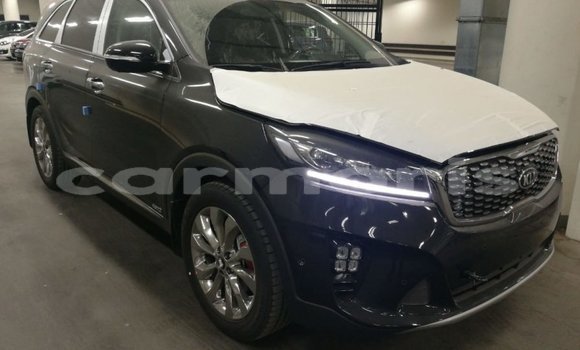 Buy Import Kia Sorento Brown Car in Import - Dubai in Agalega Islands Buy Import Kia Sorento Brown Car in Import - Dubai in Agalega Islands