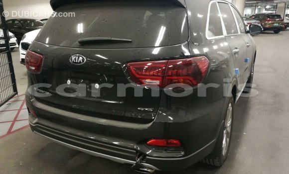 Buy Import Kia Sorento Brown Car in Import - Dubai in Agalega Islands Buy Import Kia Sorento Brown Car in Import - Dubai in Agalega Islands