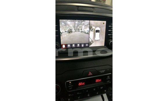 Buy Import Kia Sorento Brown Car in Import - Dubai in Agalega Islands Buy Import Kia Sorento Brown Car in Import - Dubai in Agalega Islands