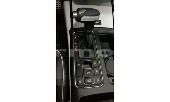 Buy Import Kia Sorento Brown Car in Import - Dubai in Agalega Islands Buy Import Kia Sorento Brown Car in Import - Dubai in Agalega Islands