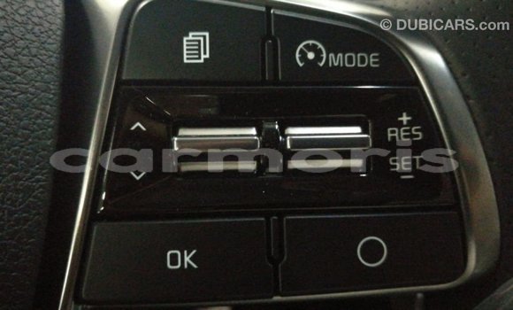 Buy Import Kia Sorento Brown Car in Import - Dubai in Agalega Islands Buy Import Kia Sorento Brown Car in Import - Dubai in Agalega Islands