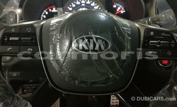 Buy Import Kia Sorento Brown Car in Import - Dubai in Agalega Islands Buy Import Kia Sorento Brown Car in Import - Dubai in Agalega Islands