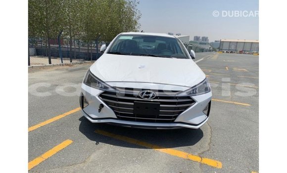 Buy Import Hyundai Elantra White Car in Import - Dubai in Agalega Islands Buy Import Hyundai Elantra White Car in Import - Dubai in Agalega Islands
