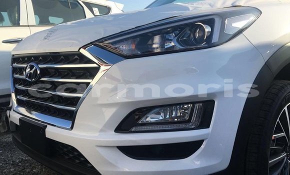 Buy Import Hyundai Tucson White Car in Import - Dubai in Agalega Islands Buy Import Hyundai Tucson White Car in Import - Dubai in Agalega Islands