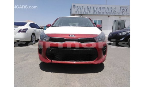 Buy Import Kia Rio Red Car in Import - Dubai in Agalega Islands Buy Import Kia Rio Red Car in Import - Dubai in Agalega Islands