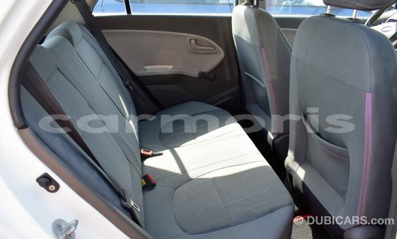 Buy Import Kia Picanto White Car in Import - Dubai in Agalega Islands Buy Import Kia Picanto White Car in Import - Dubai in Agalega Islands