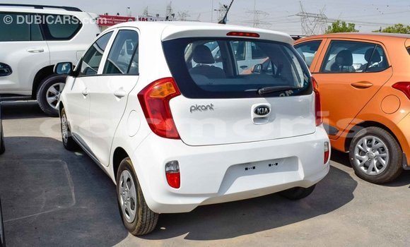 Buy Import Kia Picanto White Car in Import - Dubai in Agalega Islands Buy Import Kia Picanto White Car in Import - Dubai in Agalega Islands