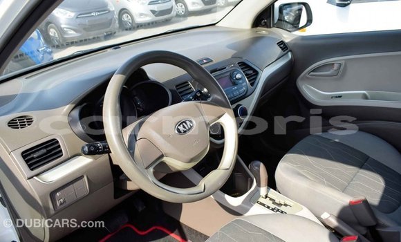 Buy Import Kia Picanto White Car in Import - Dubai in Agalega Islands Buy Import Kia Picanto White Car in Import - Dubai in Agalega Islands