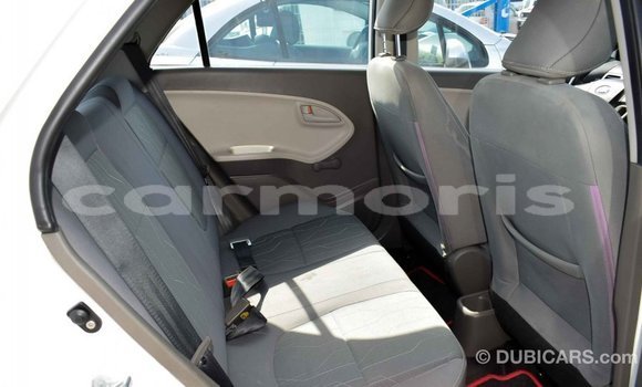 Buy Import Kia Picanto White Car in Import - Dubai in Agalega Islands Buy Import Kia Picanto White Car in Import - Dubai in Agalega Islands