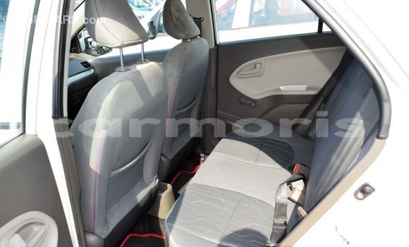 Buy Import Kia Picanto White Car in Import - Dubai in Agalega Islands Buy Import Kia Picanto White Car in Import - Dubai in Agalega Islands