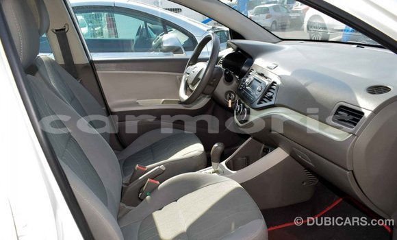 Buy Import Kia Picanto White Car in Import - Dubai in Agalega Islands Buy Import Kia Picanto White Car in Import - Dubai in Agalega Islands