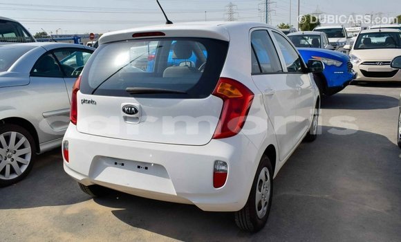 Buy Import Kia Picanto White Car in Import - Dubai in Agalega Islands Buy Import Kia Picanto White Car in Import - Dubai in Agalega Islands