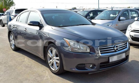Buy Import Nissan Maxima Other Car in Import - Dubai in Agalega Islands Buy Import Nissan Maxima Other Car in Import - Dubai in Agalega Islands