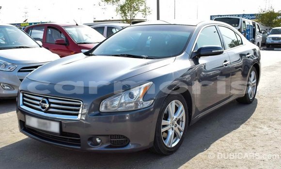 Buy Import Nissan Maxima Other Car in Import - Dubai in Agalega Islands Buy Import Nissan Maxima Other Car in Import - Dubai in Agalega Islands