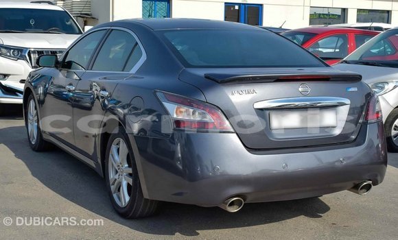 Buy Import Nissan Maxima Other Car in Import - Dubai in Agalega Islands Buy Import Nissan Maxima Other Car in Import - Dubai in Agalega Islands