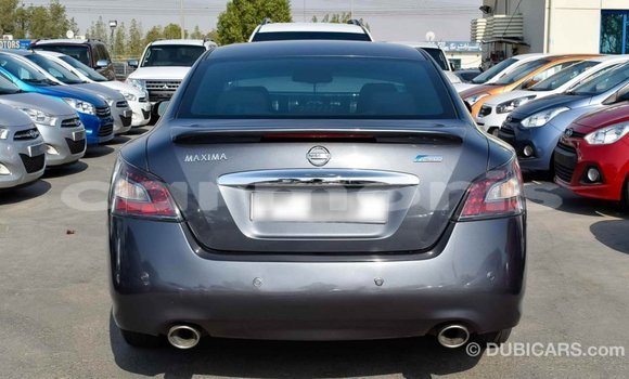 Buy Import Nissan Maxima Other Car in Import - Dubai in Agalega Islands Buy Import Nissan Maxima Other Car in Import - Dubai in Agalega Islands