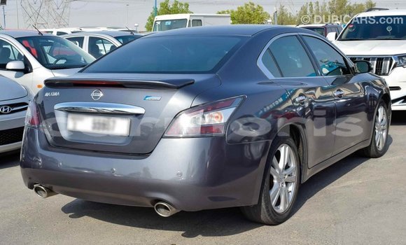 Buy Import Nissan Maxima Other Car in Import - Dubai in Agalega Islands Buy Import Nissan Maxima Other Car in Import - Dubai in Agalega Islands
