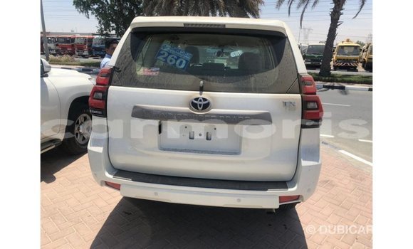 Buy Import Toyota Prado White Car in Import - Dubai in Agalega Islands Buy Import Toyota Prado White Car in Import - Dubai in Agalega Islands