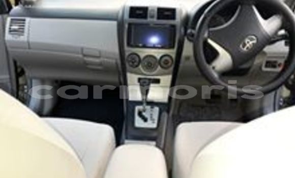 Acheter Occasion Voiture Toyota Axio Gris à Port Louis, Port Louis District Acheter Occasion Voiture Toyota Axio Gris à Port Louis, Port Louis District