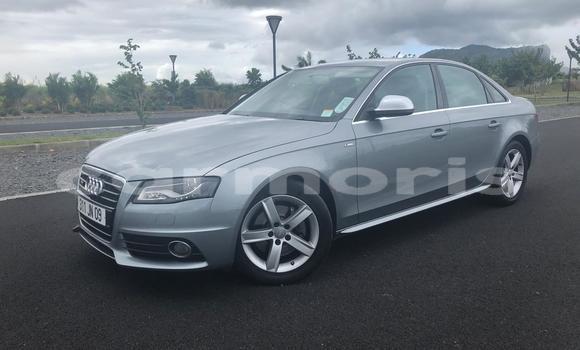 Buy Used Audi A4 Silver Car in Tamarin in Black River District