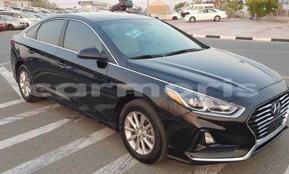 Buy Import Hyundai Sonata Black Car in Import - Dubai in Agalega Islands Buy Import Hyundai Sonata Black Car in Import - Dubai in Agalega Islands