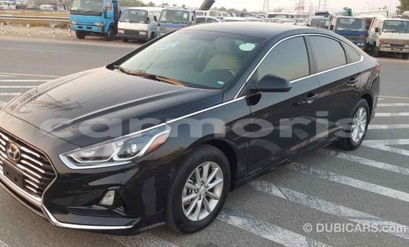 Buy Import Hyundai Sonata Black Car in Import - Dubai in Agalega Islands Buy Import Hyundai Sonata Black Car in Import - Dubai in Agalega Islands
