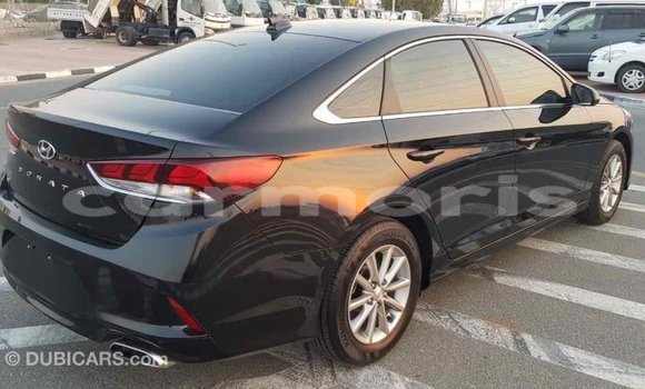 Buy Import Hyundai Sonata Black Car in Import - Dubai in Agalega Islands Buy Import Hyundai Sonata Black Car in Import - Dubai in Agalega Islands