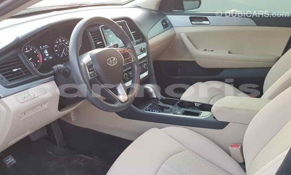 Buy Import Hyundai Sonata Black Car in Import - Dubai in Agalega Islands Buy Import Hyundai Sonata Black Car in Import - Dubai in Agalega Islands