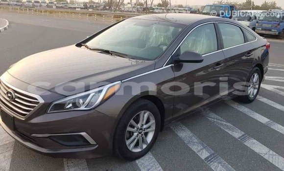 Buy Import Hyundai Sonata Brown Car in Import - Dubai in Agalega Islands Buy Import Hyundai Sonata Brown Car in Import - Dubai in Agalega Islands
