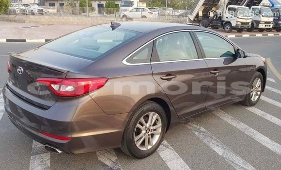 Buy Import Hyundai Sonata Brown Car in Import - Dubai in Agalega Islands Buy Import Hyundai Sonata Brown Car in Import - Dubai in Agalega Islands