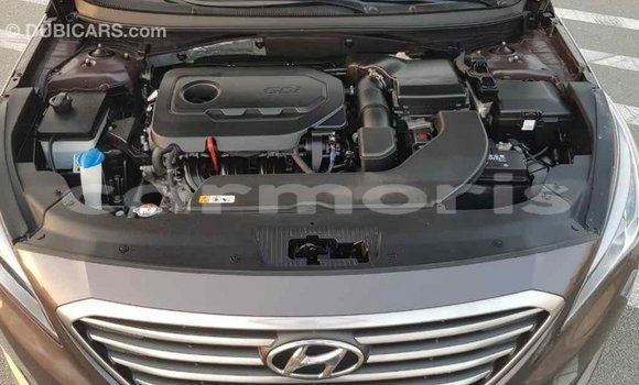 Buy Import Hyundai Sonata Brown Car in Import - Dubai in Agalega Islands Buy Import Hyundai Sonata Brown Car in Import - Dubai in Agalega Islands