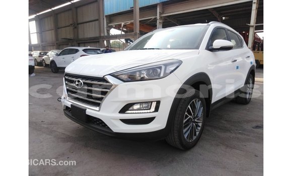 Buy Import Hyundai Tucson White Car in Import - Dubai in Agalega Islands Buy Import Hyundai Tucson White Car in Import - Dubai in Agalega Islands