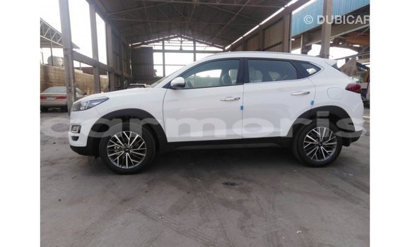 Buy Import Hyundai Tucson White Car in Import - Dubai in Agalega Islands Buy Import Hyundai Tucson White Car in Import - Dubai in Agalega Islands