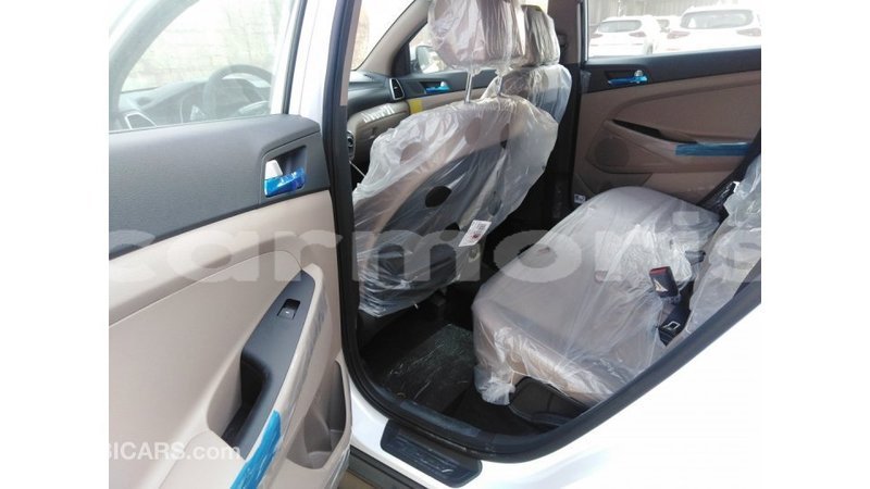 Big with watermark 1f3a553e f7d3 4d67 9271 57b8d79fdcbe