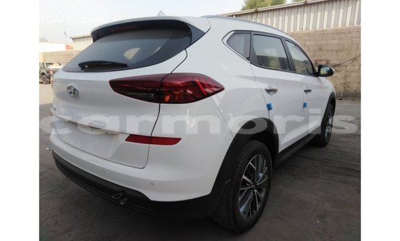 Buy Import Hyundai Tucson White Car in Import - Dubai in Agalega Islands Buy Import Hyundai Tucson White Car in Import - Dubai in Agalega Islands
