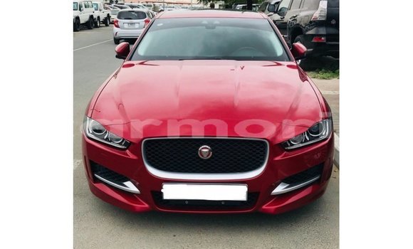 Buy Import Jaguar XE Red Car in Import - Dubai in Agalega Islands