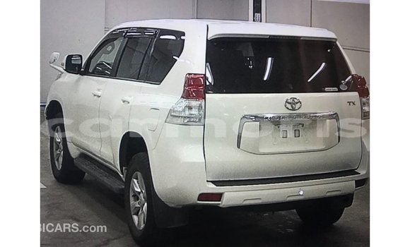 Buy Import Toyota Prado White Car in Import - Dubai in Agalega Islands Buy Import Toyota Prado White Car in Import - Dubai in Agalega Islands