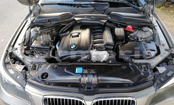 Buy Used BMW 5–Series Silver Car in Rose Belle in Grand Port District