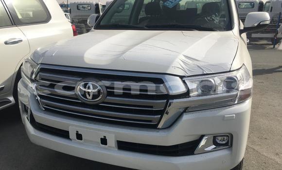 Buy Used Toyota Land Cruiser White Car in Arsenal in Pamplemousses District Buy Used Toyota Land Cruiser White Car in Arsenal in Pamplemousses District