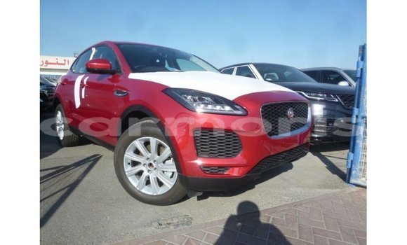 Buy Import Jaguar E-Pace Red Car in Import - Dubai in Agalega Islands